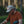 Load image into Gallery viewer, SRB Lizards Snapback
