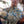 Load image into Gallery viewer, Vintage Slub Twill Shirt