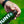 Load image into Gallery viewer, Insect Repellant Spray