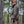 Load image into Gallery viewer, Tensaw Jacket