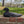 Load image into Gallery viewer, Canadian Scooter Duck