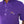 Load image into Gallery viewer, LSU Coach's Performance Players Shirt
