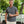 Load image into Gallery viewer, Slub Cotton Short Sleeve T-Shirt
