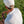 Load image into Gallery viewer, Fin Frenzy Printed Performance Polo
