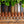 Load image into Gallery viewer, Newport Woven Italian Rayon Elastic Belt
