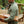 Load image into Gallery viewer, Corduroy Quilted Shacket
