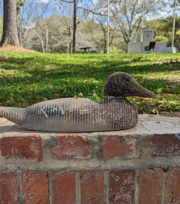 Victor Animal Trap Mallard 1930 Decoy