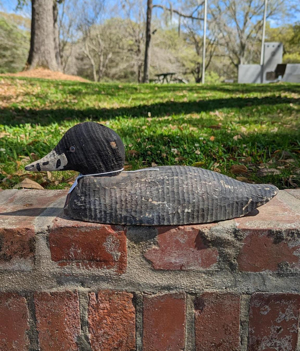 Victor Animal Trap Co 1930 Coot Decoy